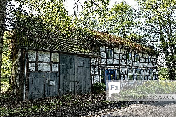 Leerstehendes altes Fchwerkhaus im Rundlingsdorf Mammoißel  Gemeinde Luckau  Landkreis Lüchow-Dannenberg  Niedersachsen  Deutschland  Europa