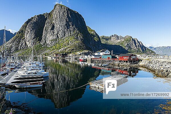 Der Hafen von Reine  Lofoten  Norwegen  Europa