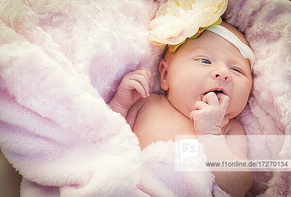 Beautiful newborn baby girl laying peacefully in soft pink blanket