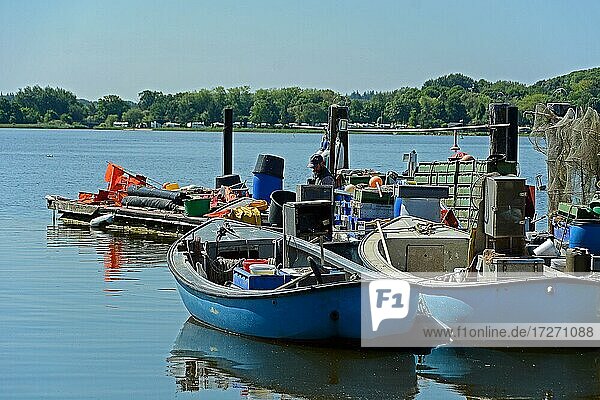 Fishing boats  fish traps and nets  Holm fishing village  Schleswig-Holstein  Germany  Europe
