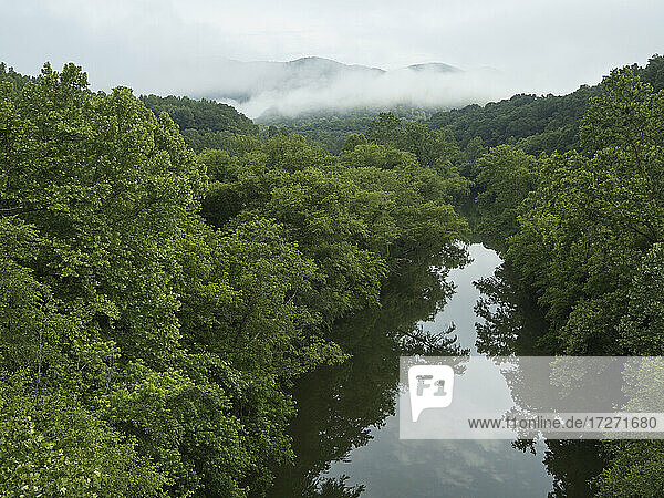 Drohnenansicht des Cumberland River  umgeben von grünem  üppigem Wald