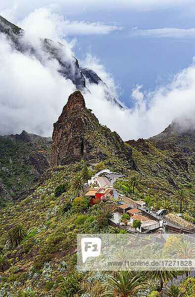 Spain  Province of Santa Cruz de Tenerife  Masca  Secluded village in Macizo de Teno range