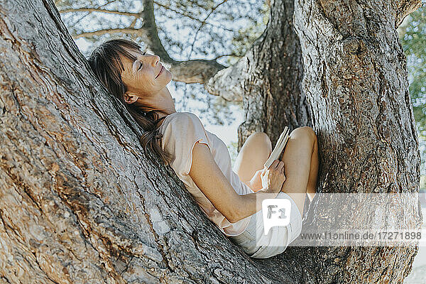 Ältere Frau entspannt sich auf einem Baum in einem öffentlichen Park