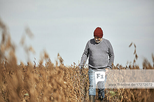 Farmer wearing knit hat examining crop while walking in field against clear sky