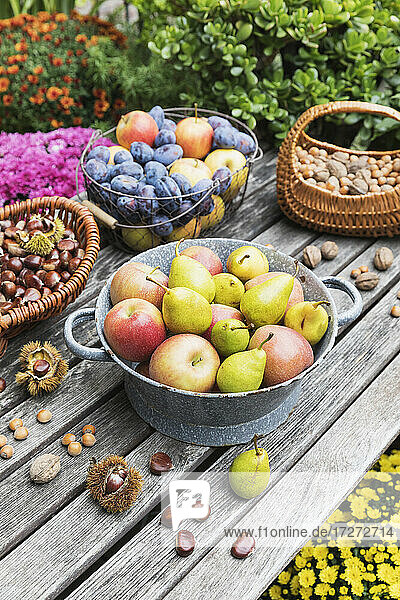 Gartentisch mit Herbsternte von Nüssen und Früchten gefüllt