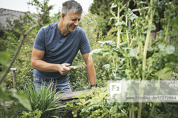 Smiling mature man holding gardening fork while planting on raised bed at back yard