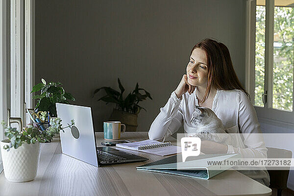 Junge Frau sitzt mit Katze auf dem Schoß und arbeitet zu Hause am Laptop