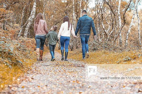 Familie hält sich beim Herbstspaziergang im Park von Cannock Chase an den Händen