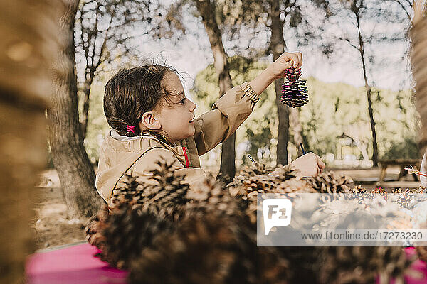 Cute girl looking at pine cone in park