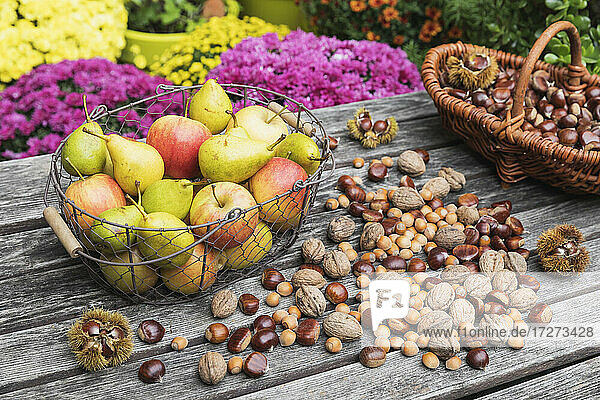 Garden table filled with autumn harvest of nuts and fruits