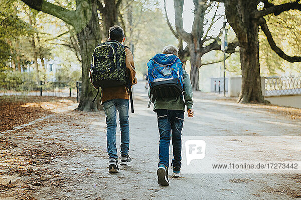 Brothers walking with backpack in public park on sunny day