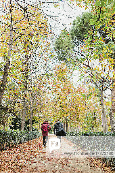 Mid adult women walking together on footpath amidst plants and trees at park during autumn