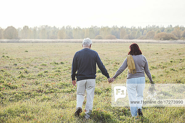 Senior couple holding hands while walking on field during weekend