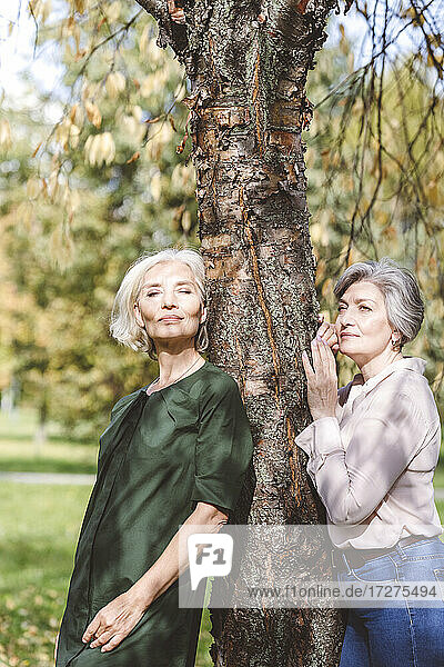 Reife Frauen lehnen sich an einen Baum und umarmen ihn  während sie im Park stehen