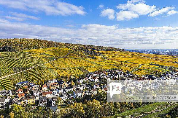 Deutschland  Hessen  Martinsthal  Blick aus dem Hubschrauber auf eine ländliche Stadt im Herbst mit Weinbergen im Hintergrund