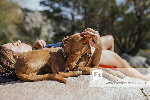 Frau entspannt auf einem Felsen liegend mit Hund im Wald bei La Pedriza  Madrid  Spanien
