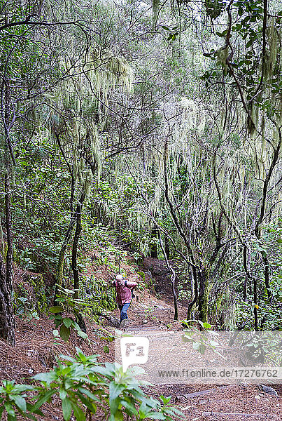 Mature man hiking on mountain path at Barranco Madre del Agua  Tenerife  Spain