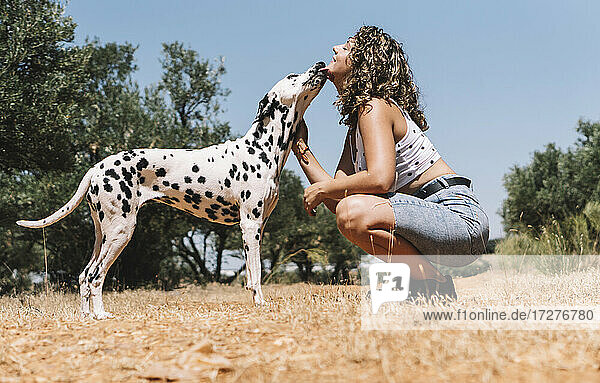 Hund leckt das Gesicht einer jungen Frau  die an einem sonnigen Tag auf einem Feld hockt