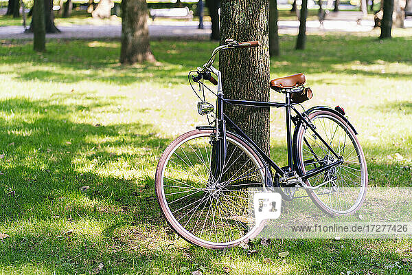 Bicycle parked on grassy field at public park