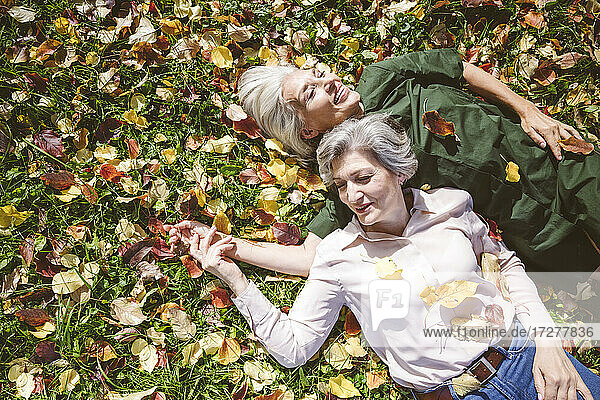 Glückliche Frauen  die lächelnd im Gras eines öffentlichen Parks liegen