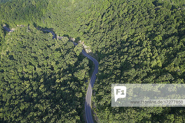 Luftaufnahme eines Highways  der sich im Sommer durch den grünen Wald der Appalachen zieht