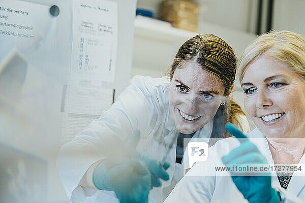 Lächelnde Wissenschaftlerin und Assistentin diskutieren bei der Untersuchung eines Objektträgers mit menschlichem Gehirn im Labor