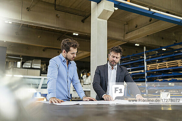 Young and mature businessman working on blue print while standing at factory