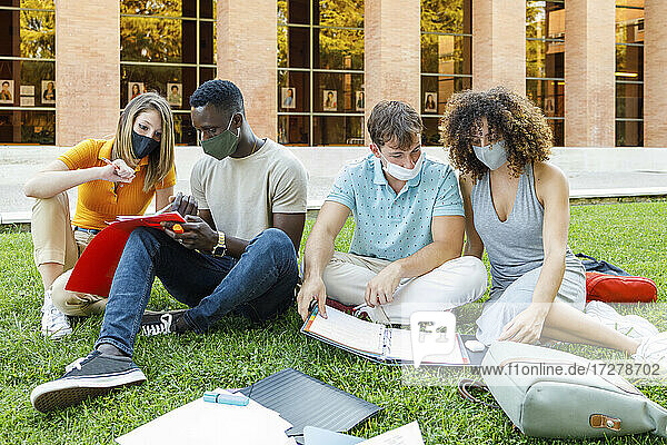 Male and female students studying together in campus at university