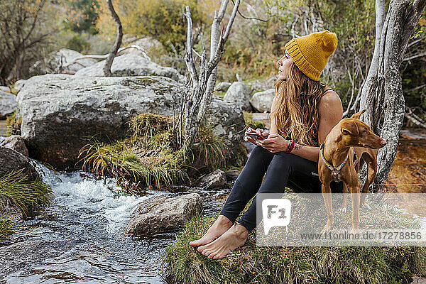Frau  die ein Mobiltelefon benutzt  während sie mit ihrem Hund auf einem Felsen im Wald bei La Pedriza  Madrid  Spanien  sitzt