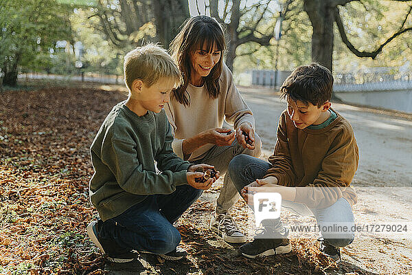 Mother and sons collecting chestnuts in public park