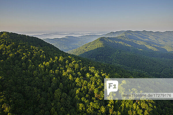 Luftaufnahme des grünen Waldes in den Appalachen in der nebligen Morgendämmerung