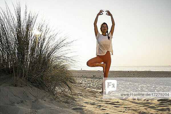 Beautiful young woman practicing tree pose with arms raised by plant on sand at beach against clear sky during sunset