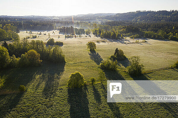 Drone view of green forested landscape at sunrise