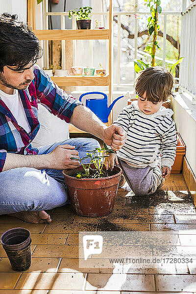 Man putting mud in strawberry plant pot while sitting by boy at balcony