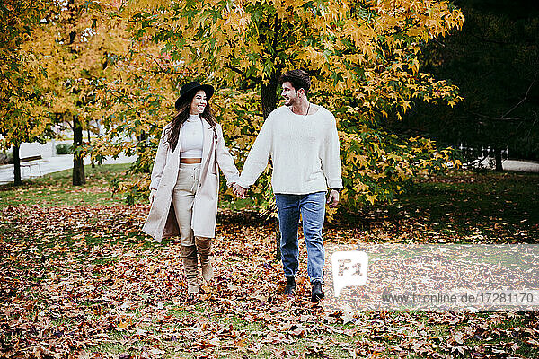 Lächelndes junges Paar  das sich an den Händen hält und sich im Herbst vor einem Baum ansieht