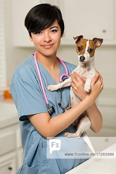 Lächelnde attraktive gemischtrassige Tierärztin oder Krankenschwester mit Welpe in einer Büro- oder Laborumgebung