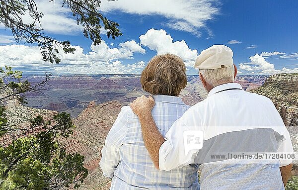 Glückliches  sich umarmendes Seniorenpaar mit Blick auf den Grand Canyon