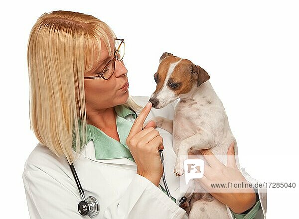 Attractive female doctor veterinarian with small puppy isolated on a white background