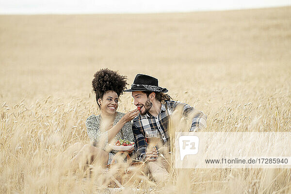 Fröhliche Freundin füttert ihren Freund mit Erdbeeren  während sie auf einem Feld sitzt