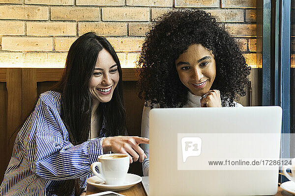 Junge Frau  die auf einen Laptop zeigt  während sie mit einer Freundin an der Bar sitzt