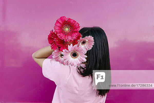 Junge Frau versteckt Gesicht mit rosa Gerbera-Gänseblümchen an der Wand