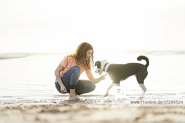 Frau streichelt Hund am Strand an einem sonnigen Tag