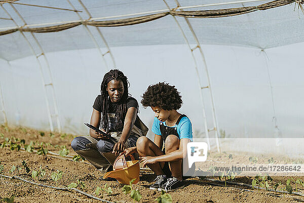 Eine Bäuerin unterrichtet ein afroamerikanisches Mädchen in Gartenarbeit  während sie im Gewächshaus hockt