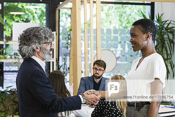 Lächelnde männliche und weibliche Unternehmer schütteln sich die Hände mit Kollegen bei einer Besprechung im Büro