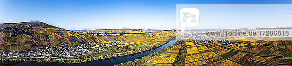 Deutschland  Rheinland-Pfalz  Hubschrauberpanorama der Mosel und der umliegenden Weinberge im Herbst