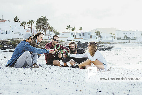 Männliche und weibliche Freunde stoßen mit Bierflaschen an  während sie am Strand sitzen