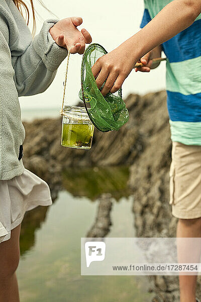Boy and girl collecting fish in jar at beach