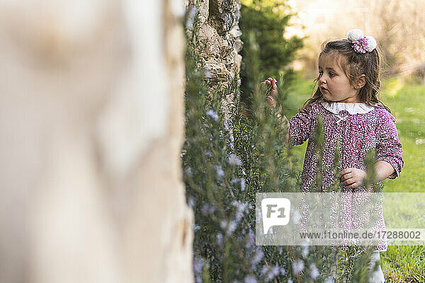 Neugieriges süßes Mädchen spielt im Frühling mit Pflanzen