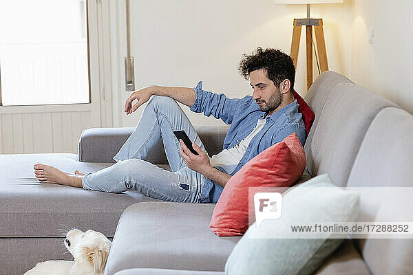 Mittelgroßer erwachsener Mann  der ein Mobiltelefon benutzt  während er zu Hause auf dem Sofa sitzt