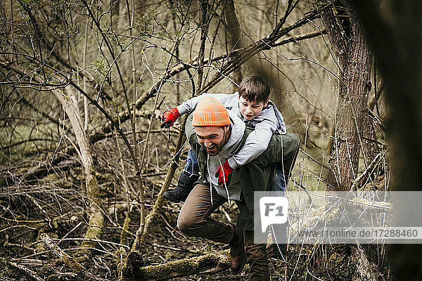 Lächelnder Vater nimmt seinen Sohn Huckepack durch kahle Bäume im Wald